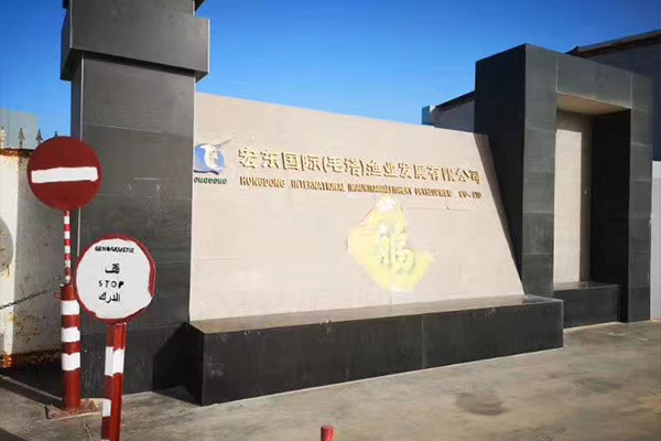 出口毛里塔尼亞一化工廠用6噸、10噸燃?xì)庹羝仩t項(xiàng)目